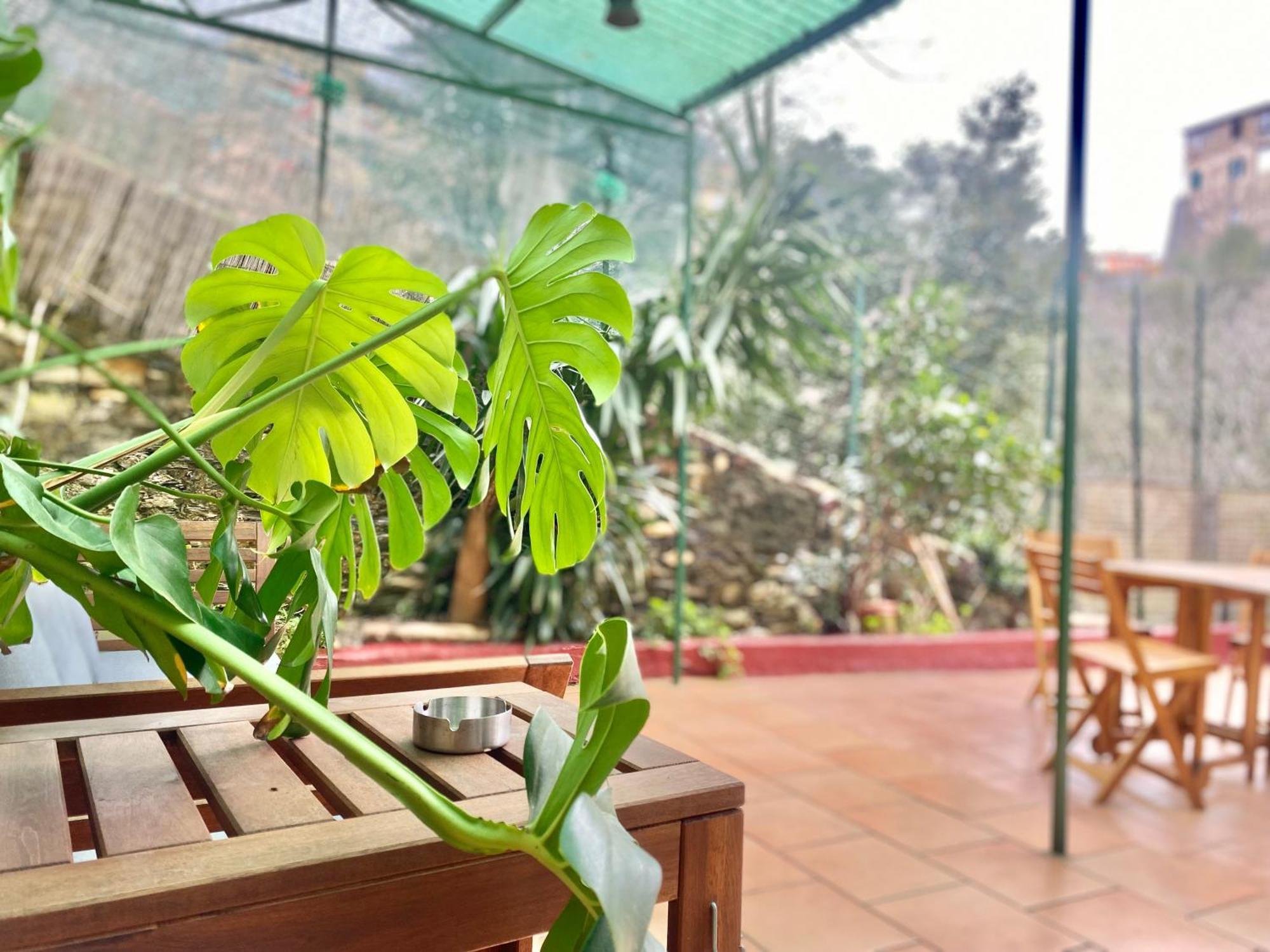 Casaviva - Bilo With Patio In Genova San Teodoro Daire Dış mekan fotoğraf